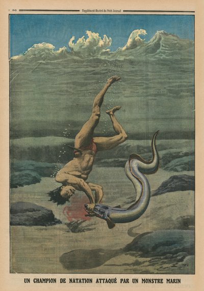 A Swimming Champion Attacked by a Sea Monster, back cover illustration from 